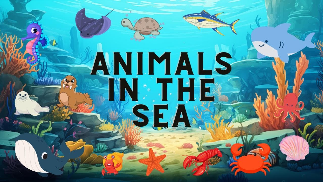 Ocean Animal Names and Sounds Sea Animal Video for Prechoolers and kids Educational video