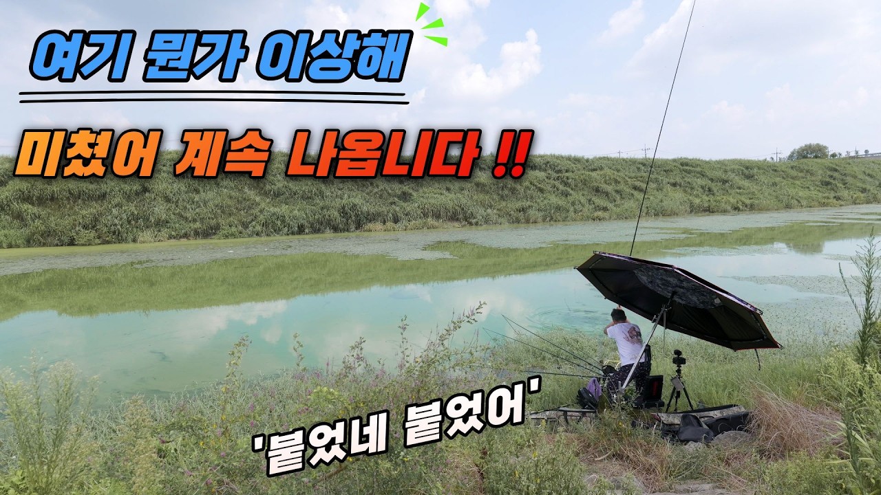 여기 뭔가 이상해~ 한번 붙으면 무섭다는 전설의 낚시터