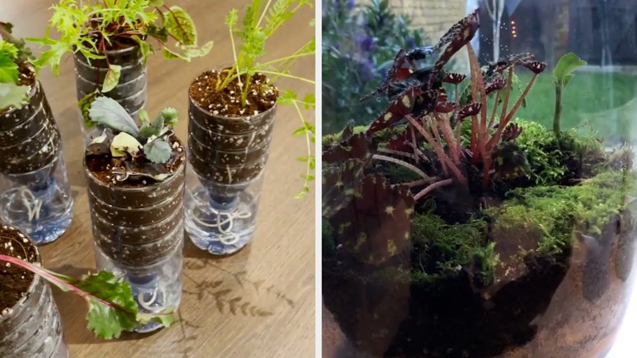 free download indoor planting free download indoor planting