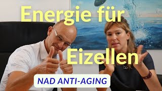 Energiekick für die Eizellen: NAD AntiAging für den Kinderwunsch