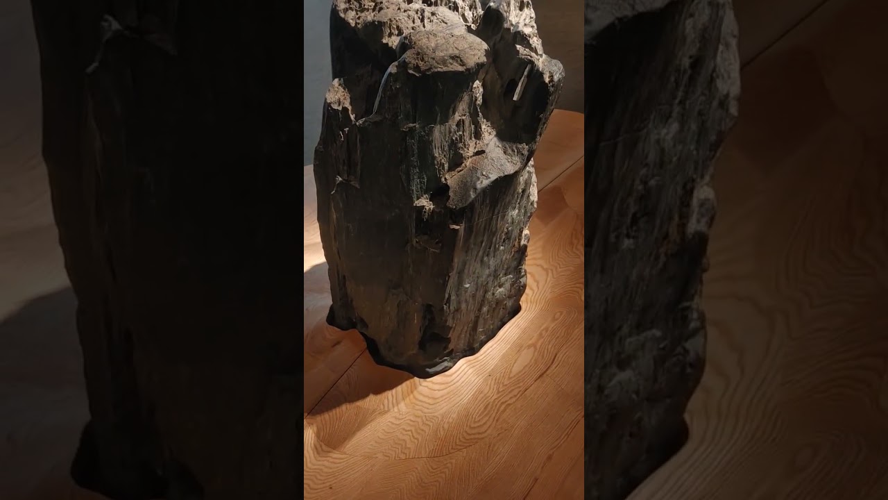 2025 남한강에서 수집한 청오석.