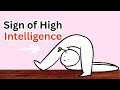 Weird Habits That Actually Reveal High Intelligence