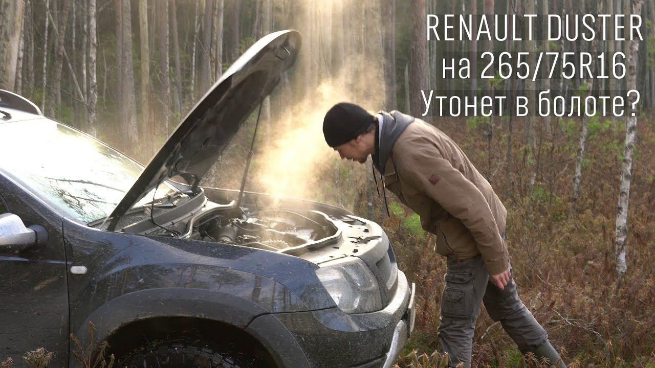 Рено Дастер на болоте: провалится или нет? / Renault Duster on swamp ...