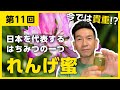 【第11回】間違いだらけのはちみつ選び【日本を代表するはちみつ､れんげ蜜についてお話します】