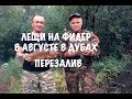 Лещи на фидер в августе в Дубах на заливе