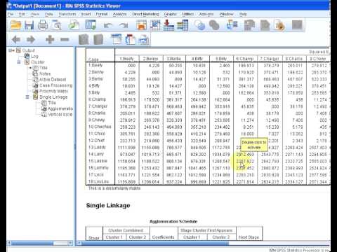 SPSS Hierarchical Clustering - Proximity Matrix and Agglomeration Schedule