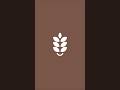 simple wheat logo with vector ink #vectorink #desaingrafis #logodesigner #graphicdesign