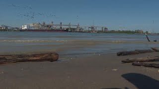 Low water in Mississippi River limits barge traffic