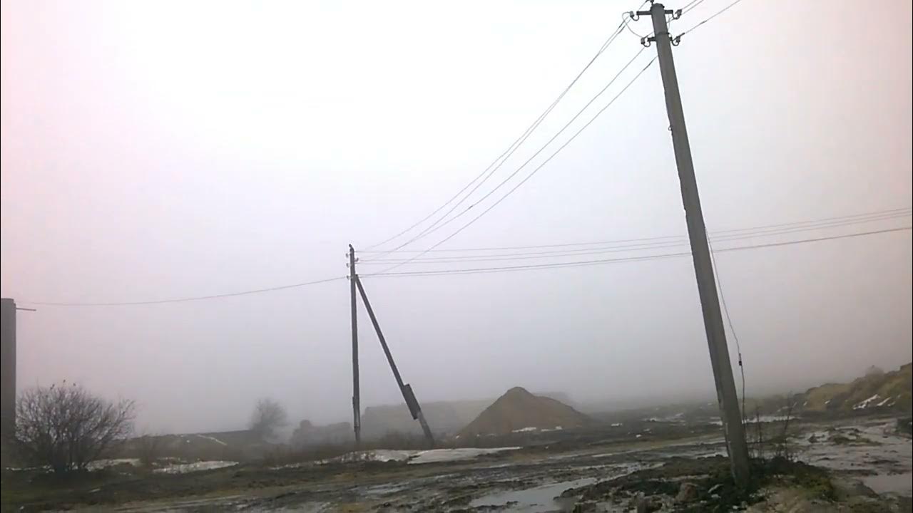 Татарстан погода на завтра. Пшенгер арский. Погода в арске за 2. Арск. Аряне арские люди.