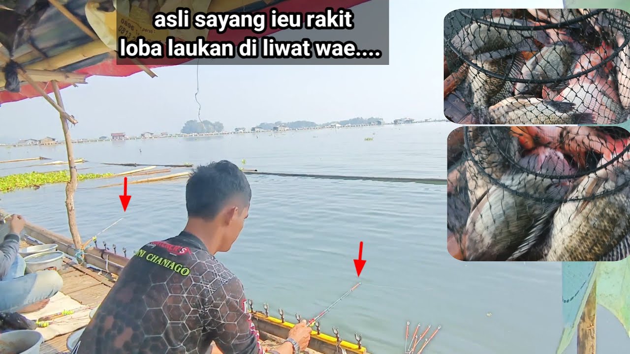Mancing jatiluhur terbaru... Rekomendasi lapak banyak ikan nya...