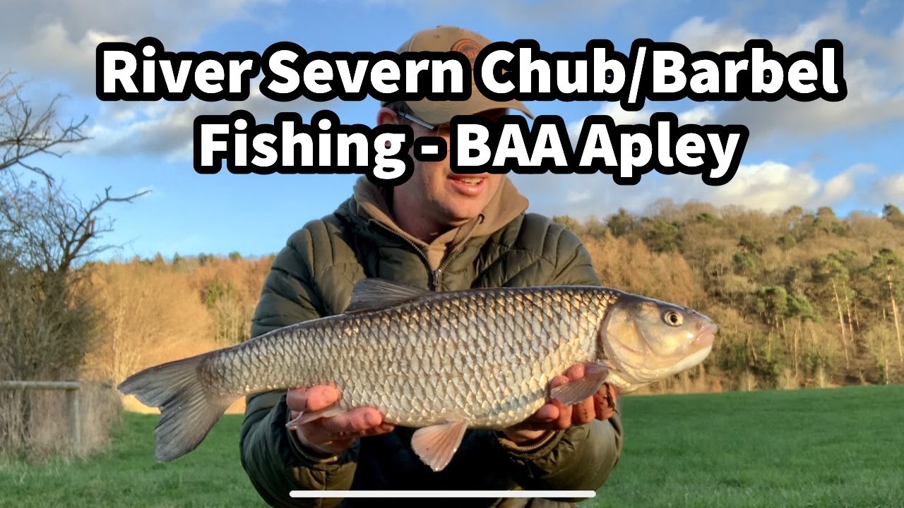 River Severn Winter Chub & Barbel Fishing BAA Apley near Bridgnorth