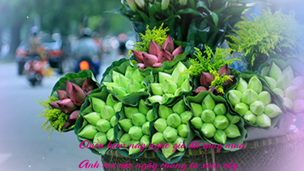NHỚ VỀ HÀ NỘI - NGUYỄN TUẤN - DUY LINH - YouTube