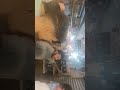 הודים רוקדים בשוק מחנה יהודה ביום חמישי האחרון הודים רוקדים בשוק מחנה יהודה ביום חמישי האחרון