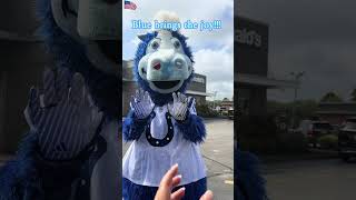 Blue brings the joy!!!