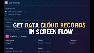 07: GET DATA CLOUD RECORDS IN SCREEN FLOW || STEP BY STEP DEMO FOR BEGINNERS | SALESFORCE TUTORIALS
