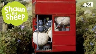 Hội chợ trò chơi - Những Chú Cừu Thông Minh