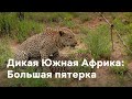 Дикая Южная Африка. Большая пятерка