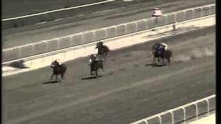 321-2012.Flv