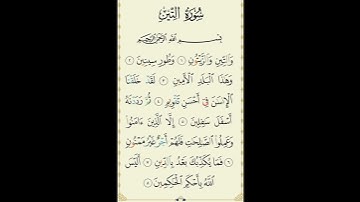 سورة التين والزيتون-ماهر المعيقلي