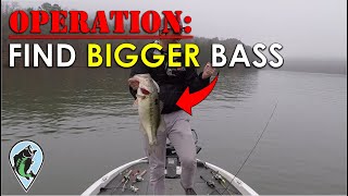my-plan-for-bigger-bass-in-2020-bass-fishing-insights