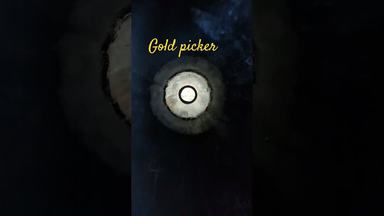 Gold picker.  