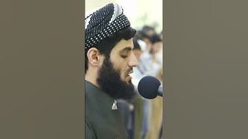 سورة النازعات بصوت القارئ : رعد الكردي