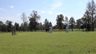 Danny Flatwork Changes
