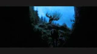 Harry Potter - Now we wait