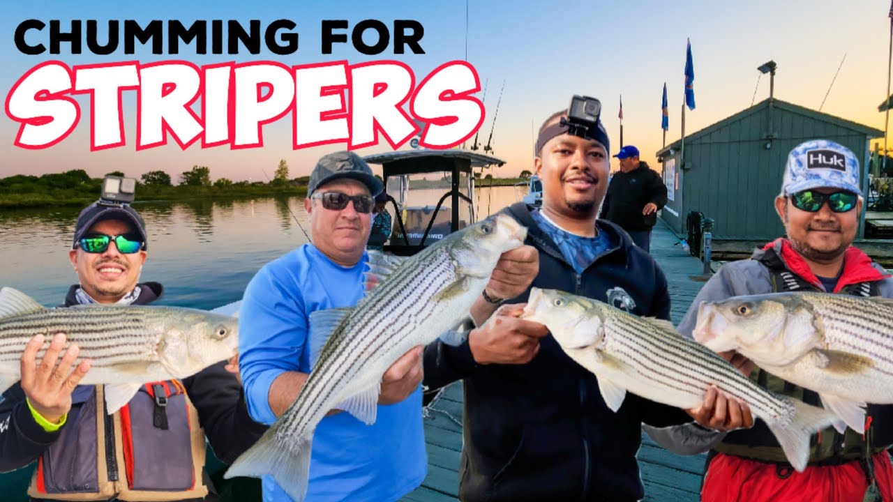 STRIPED BASS Fiahing on Clams with FishingLongIsland YouTube