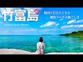 【竹富島】石垣島から15分🌺歩いて行ける幻の浜が綺麗すぎた！おすすめ絶景スポット観光（沖縄旅行/八重山諸島/グルメ）