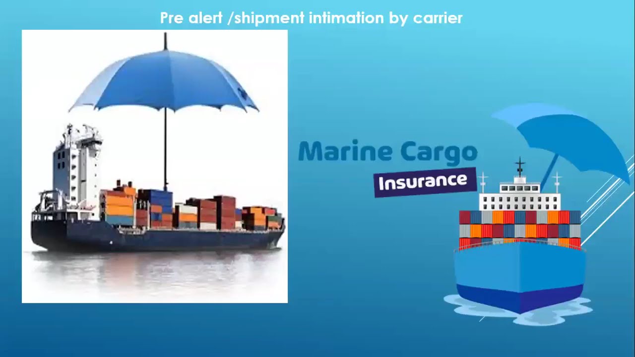 What is Import Insurance
