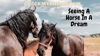 Seeing A Horse In A Dream: How to Understand This Powerful Symbol?
