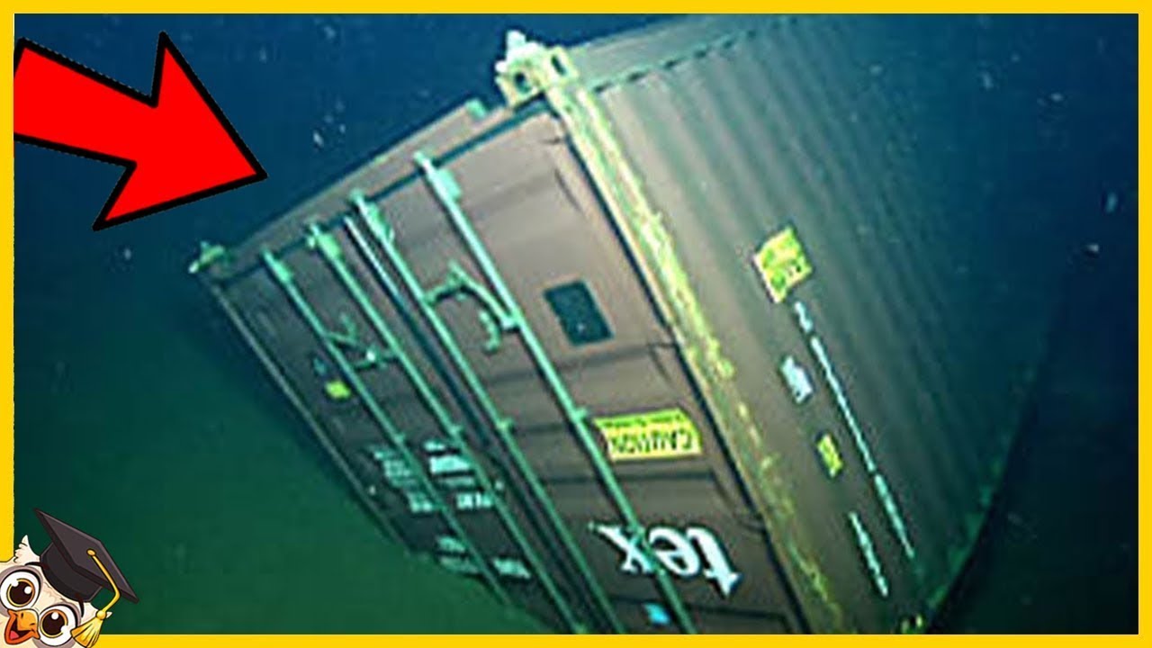 Die 20 gruseligsten Dinge, die im Meer gefunden wurden