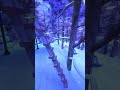 His Ankles Were FROZEN #fyp #vr #gtag #gtagjukes #jukes #juke #jmancurly #creepypasta #2026