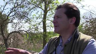 Entwässerung Von Niedermooren Und Mischwäldern In Der Niederschlagsarmen Uckermark