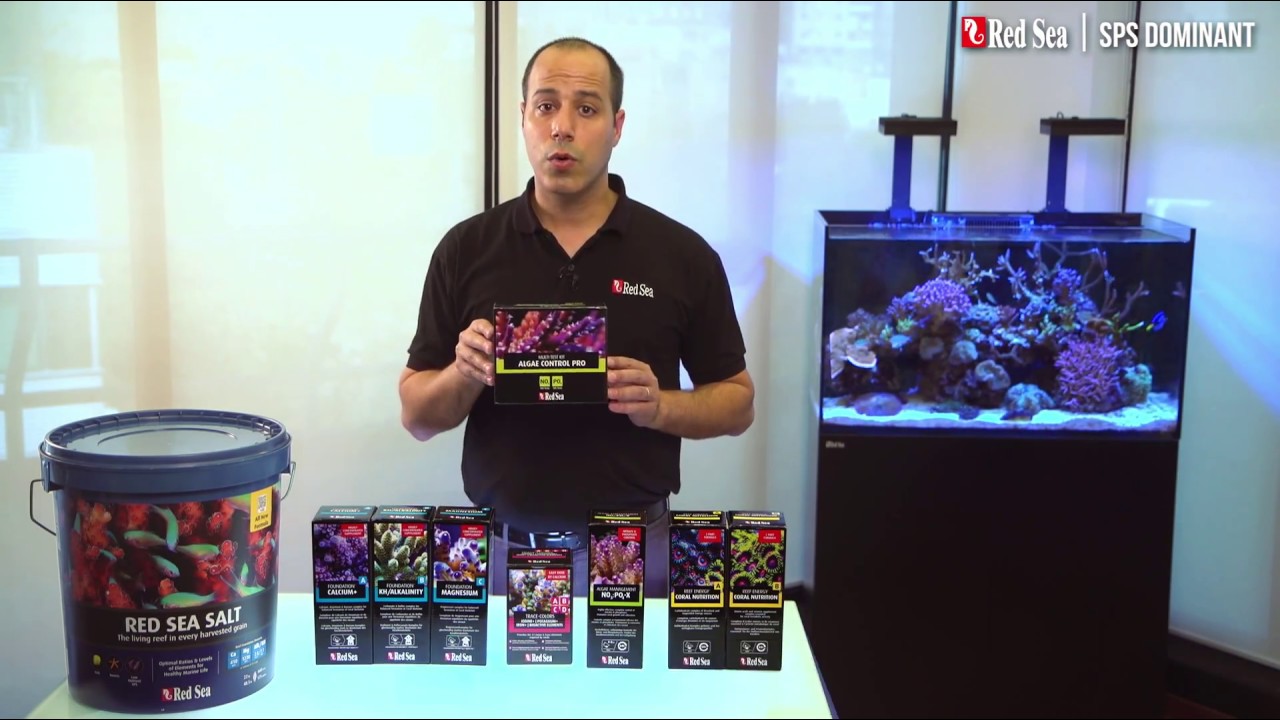 Red Sea Reef care program