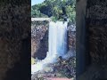 Niagara 2 #shorts