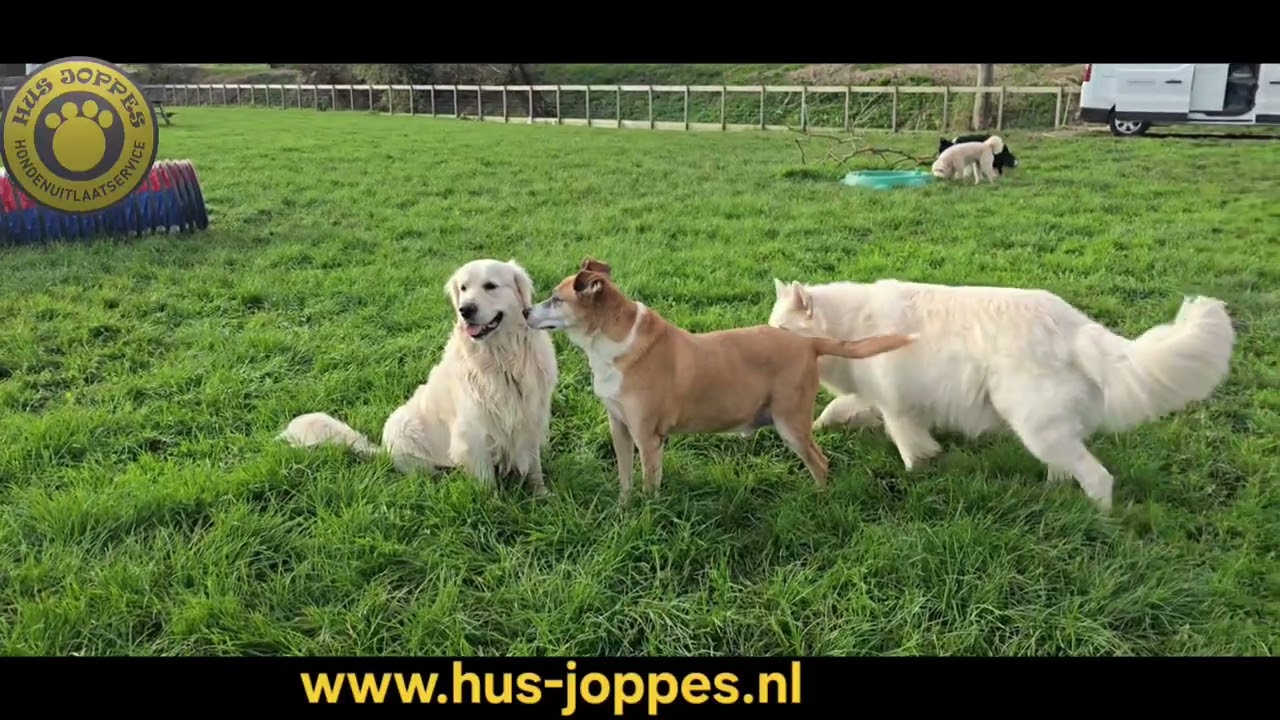 www.hus-joppes.nl