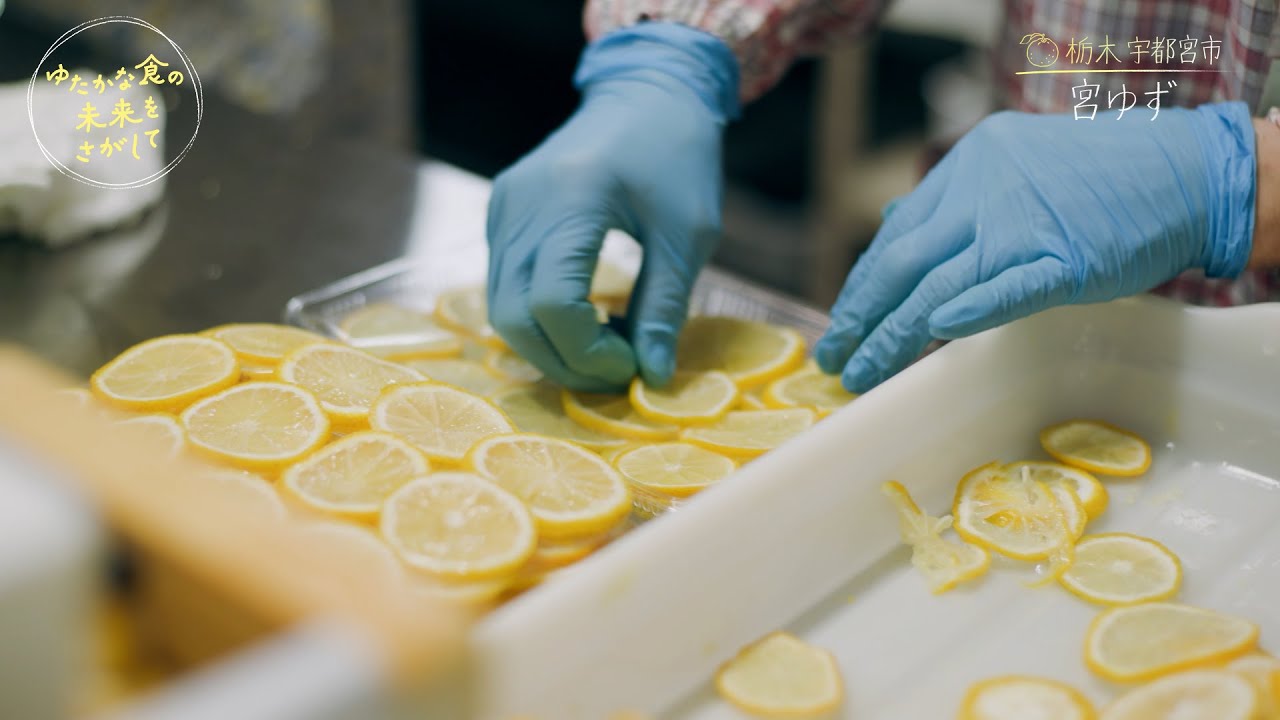 栃木 宇都宮市「宮ゆず」② 冷涼地のゆずを発展させた新たな取り組み／『ゆたかな食の未来をさがして』【TBS】