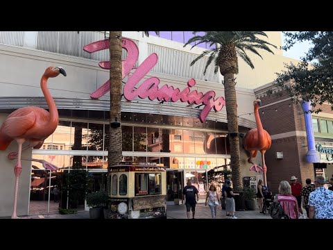 live at the silver sevens casino in las Vegas