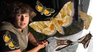 MOTH Showcase: Heiliges Meer, Germany (Deutschland) !