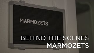 Behind the scenes: Marmozets