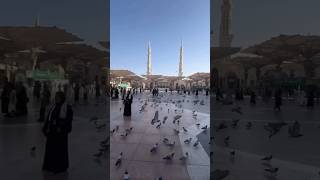 The Hidden Spiritual Secrets of Mecca &amp; Medina #love #trending #muslim #allah #madinah #makkah#short