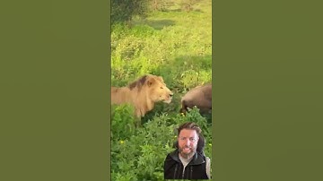 World’s Most Intense Game of Hide & Seek