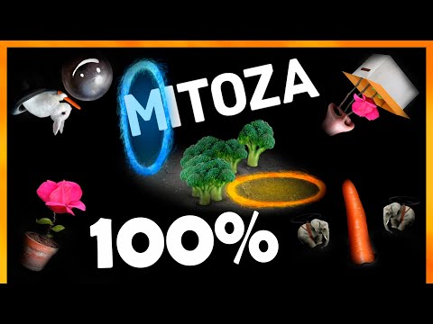 Mitoza Full Game Walkthrough [All Endings & Achievements]