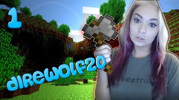Minecraft: FTB Direwolf20 Modpack Let