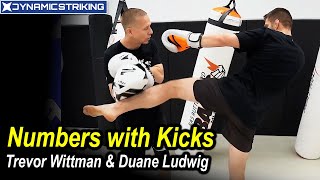 Numbers with Kicks by Trevor Wittman and Duane Ludwig