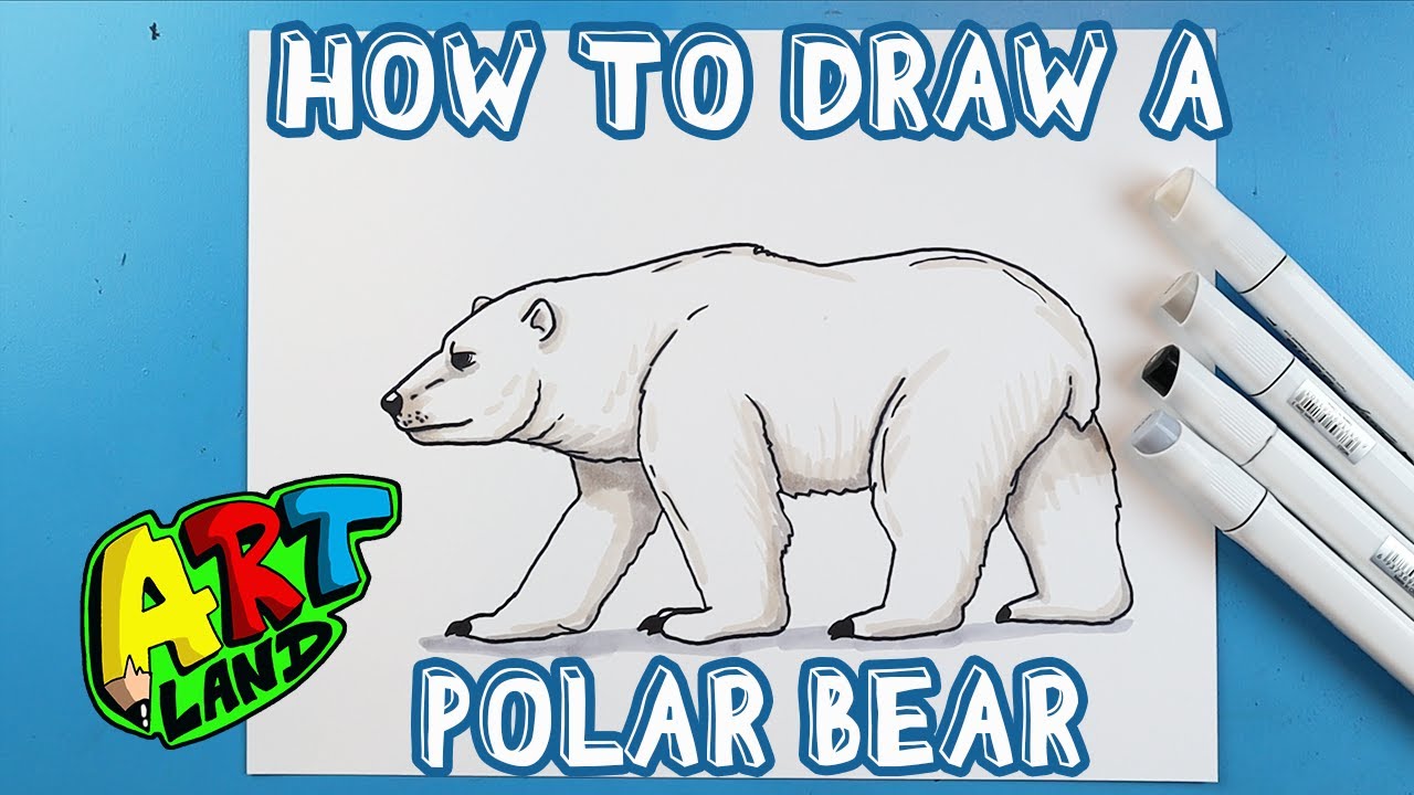 polar bear drawing for kids