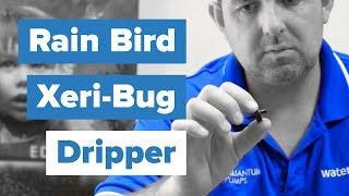 Rain Bird Xeri-Bug Drippers Review and How To Use