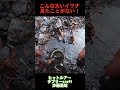 こんな太いイワナ見たことがない!/源流の40オーバーイワナ